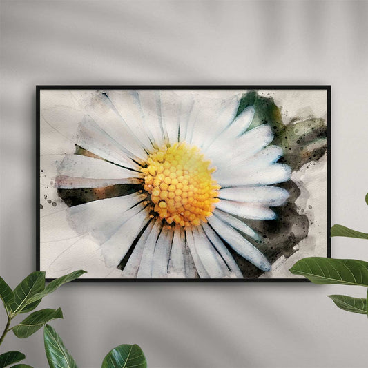 Gänseblümchen - AQUARELLS