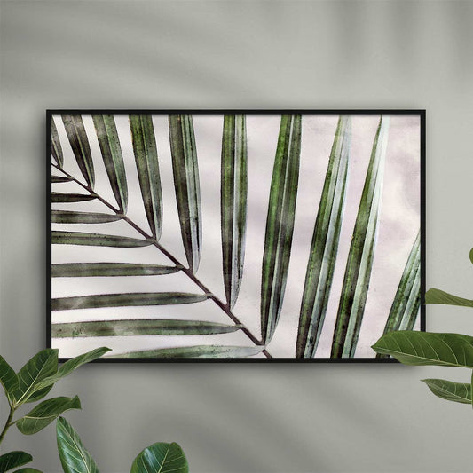 Kentia Palme - AQUARELLS