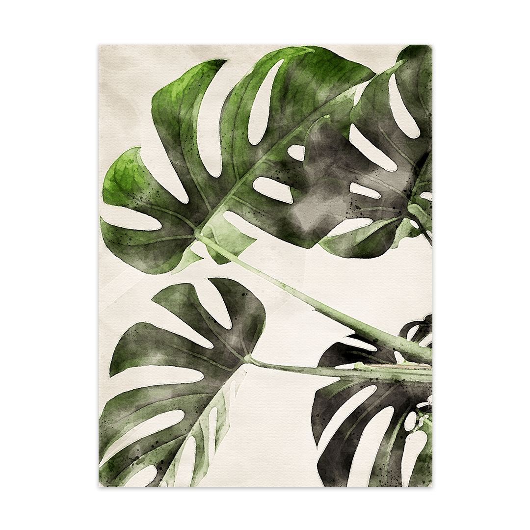 poster monstera blatt Monstera-Deliciosa – Poster und Leinwände in Aquarell-Optik