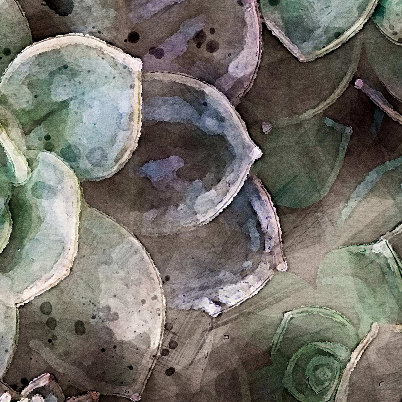 Stilvolle Botanik-Motive in Aquarell gemalt