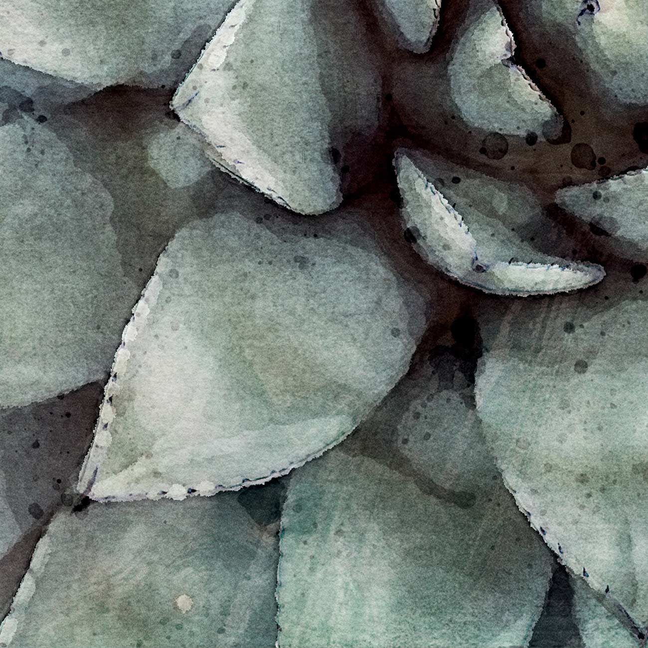 Sukkulenten – Poster und Leinwände in Aquarell-Optik
