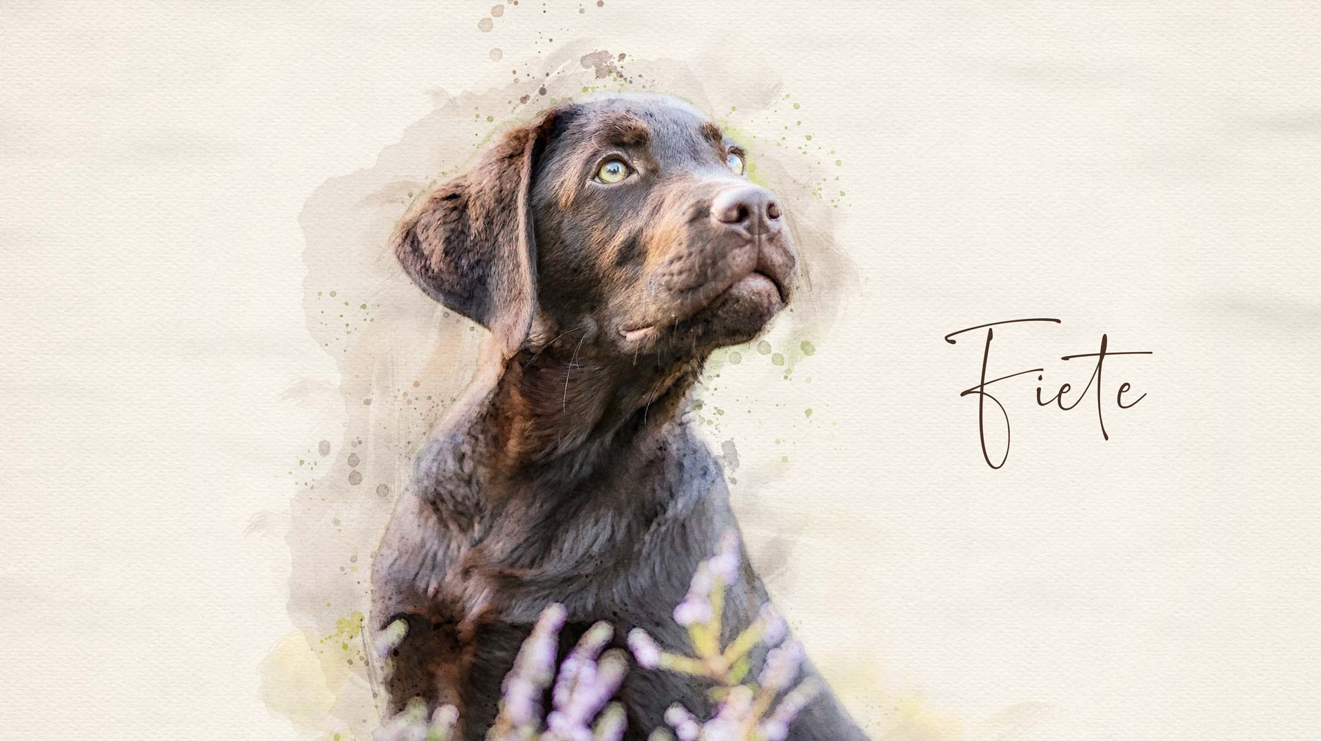 Wir malen dein Hundeportrait nach Fotovorlage im beigen Aquarell-Stil