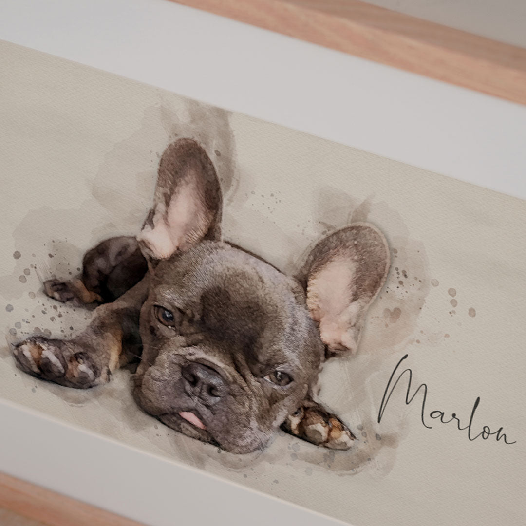 Französische Bulldogge als personalisiertes Gemälde. Foto von Französischer Bulldogge als Hundeportrait